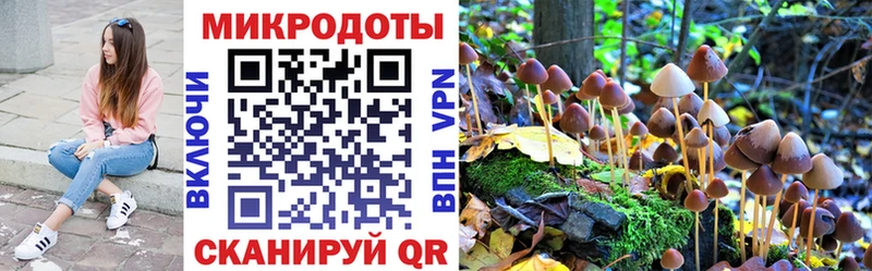 Галлюциногенные грибы Cubensis  Пикалёво 
